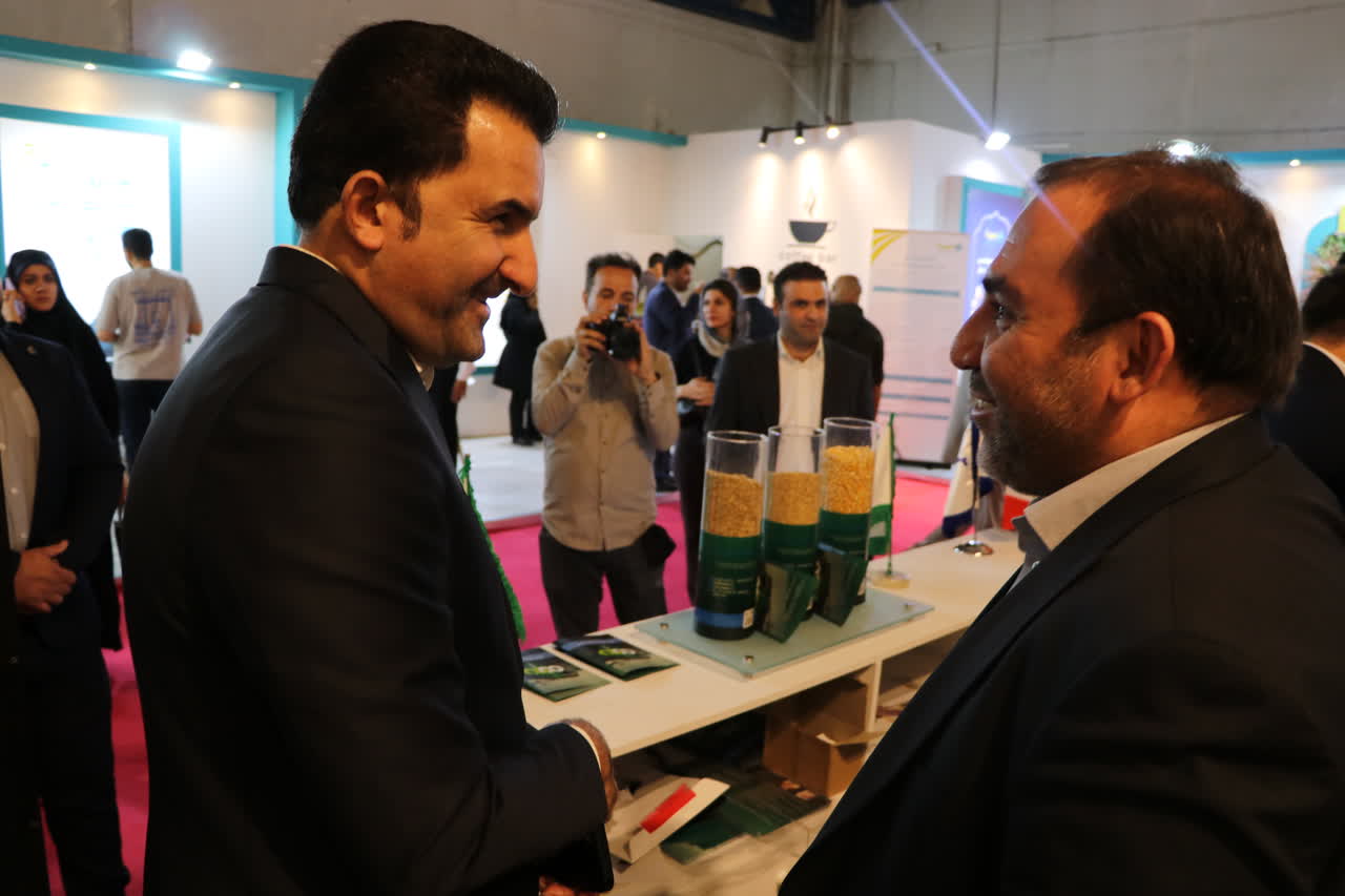 تصویر ۱۳ — نمایشگاه