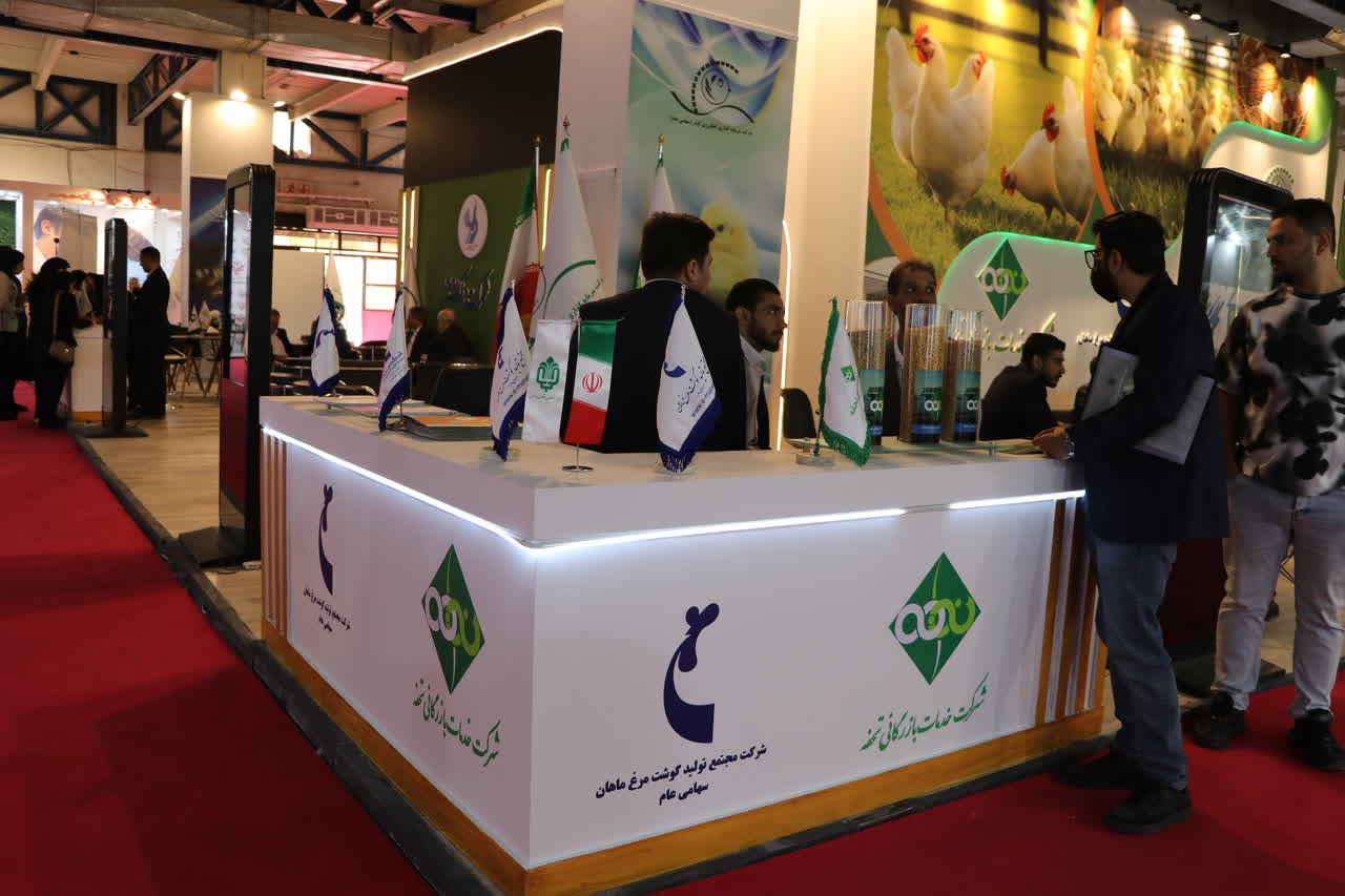 تصویر ۰۵ — نمایشگاه